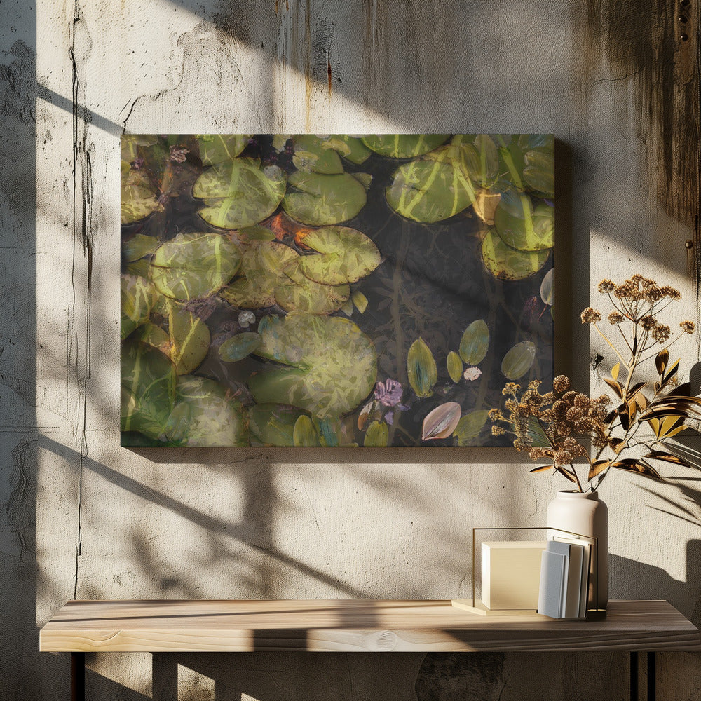 Pond plants | Canvas