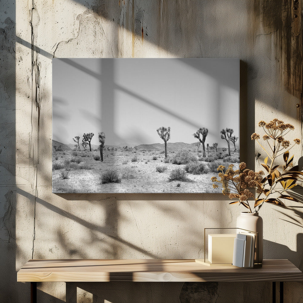 Desert Silence | Canvas