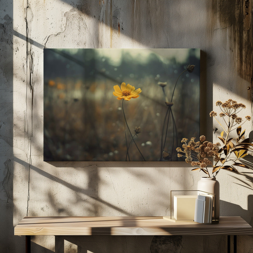 Solitary Bloomers | Canvas