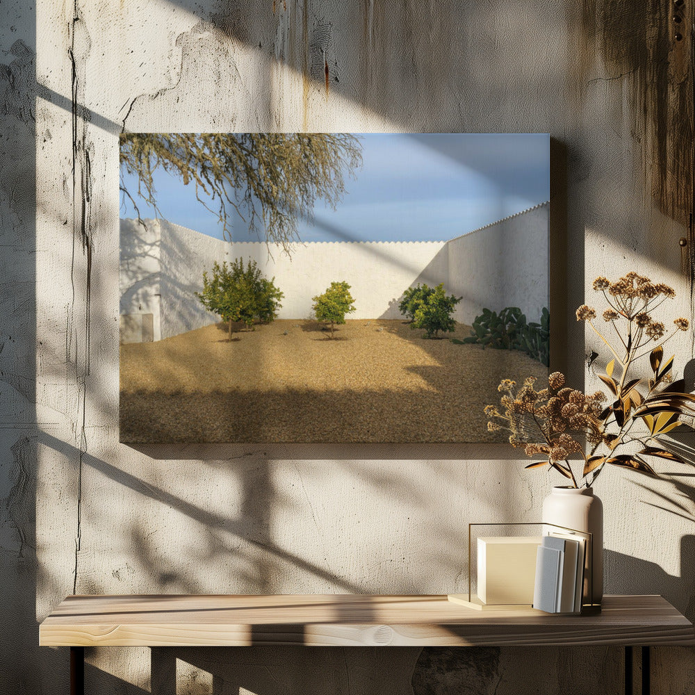 Casadavolta | Canvas