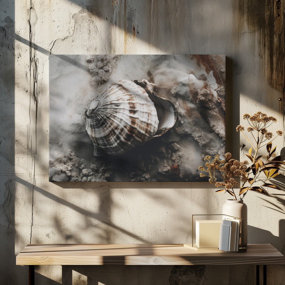 Seashell Serenity | Canvas
