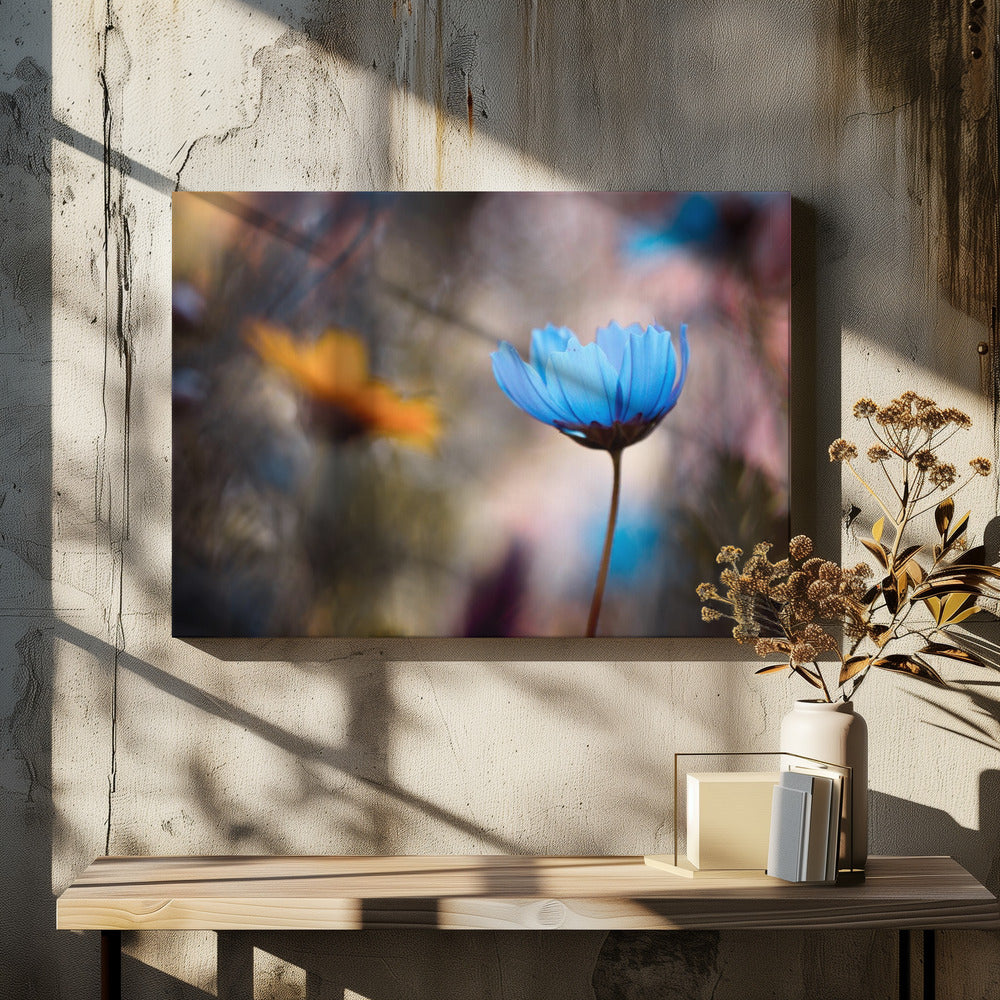 Do you wanna dance with me | Canvas