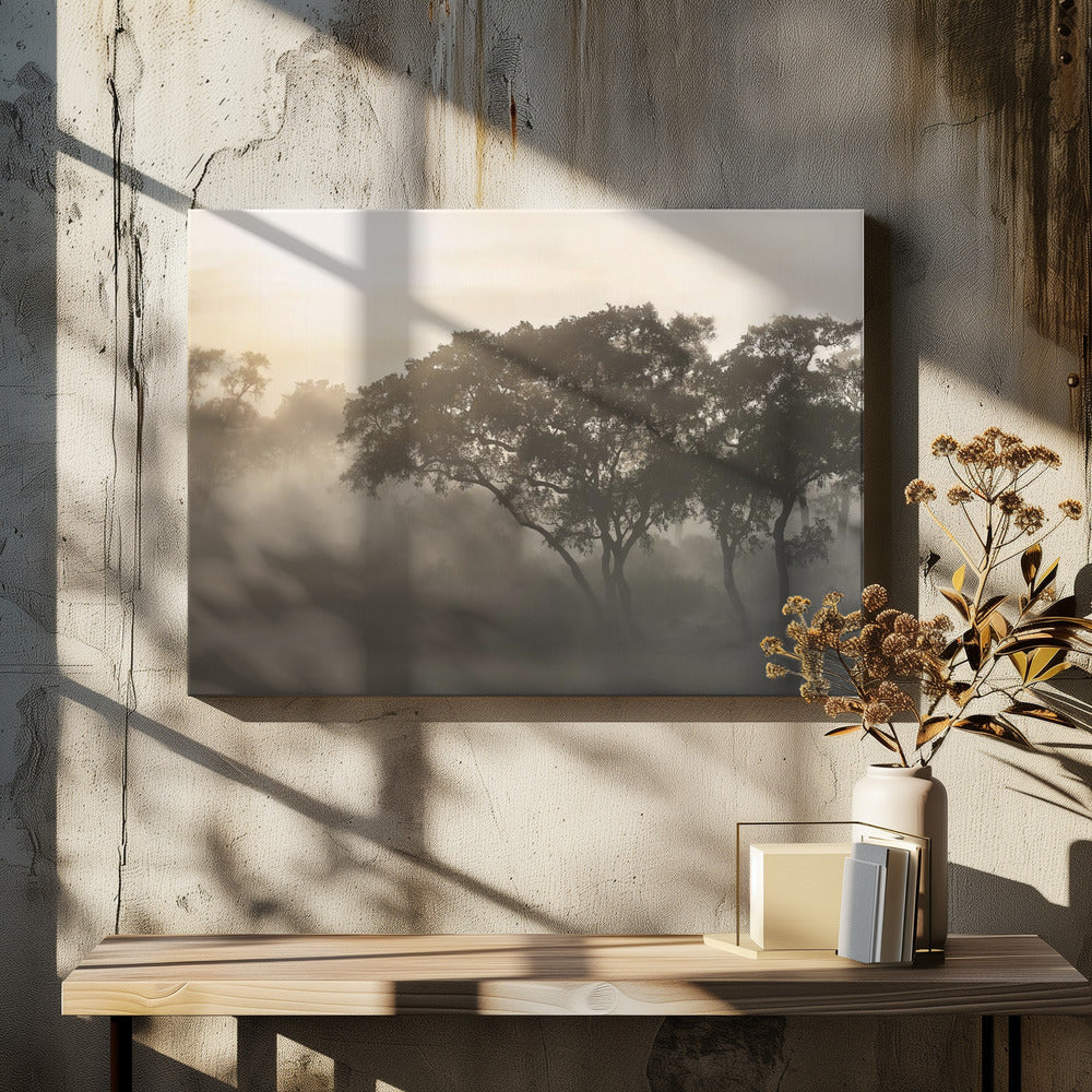 SAVANA SUNRISE | Canvas