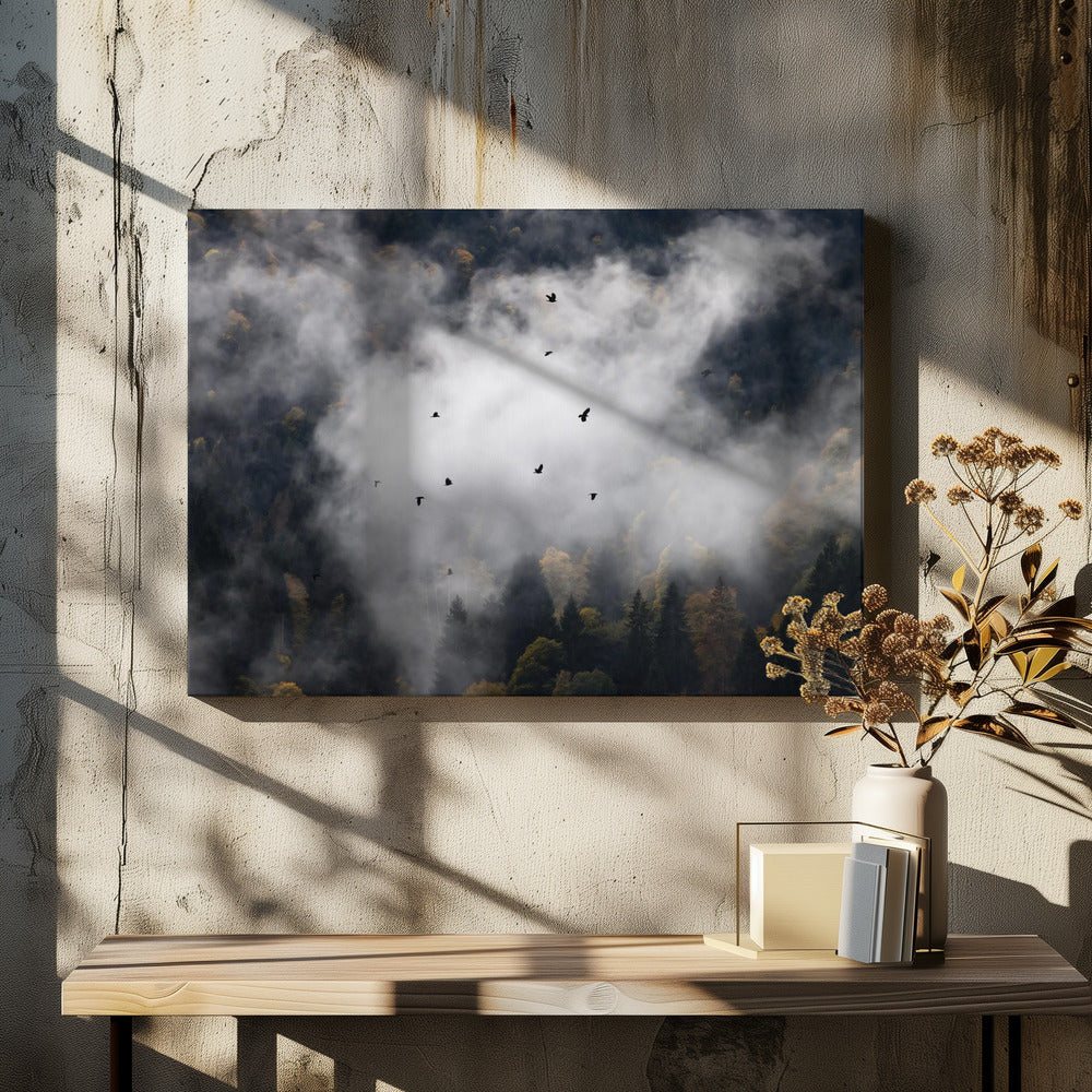 Foggy Woods 8 | Canvas