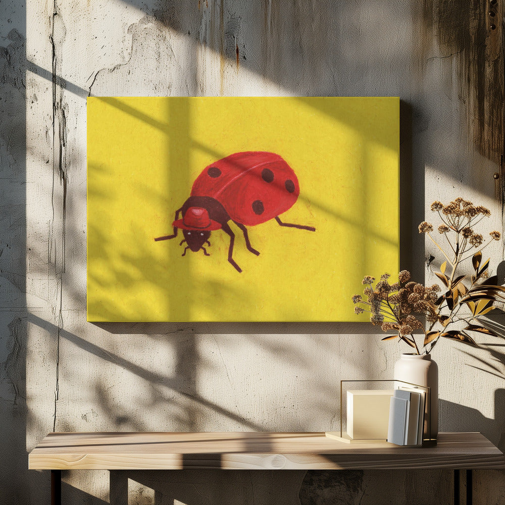 Ladybird | Canvas