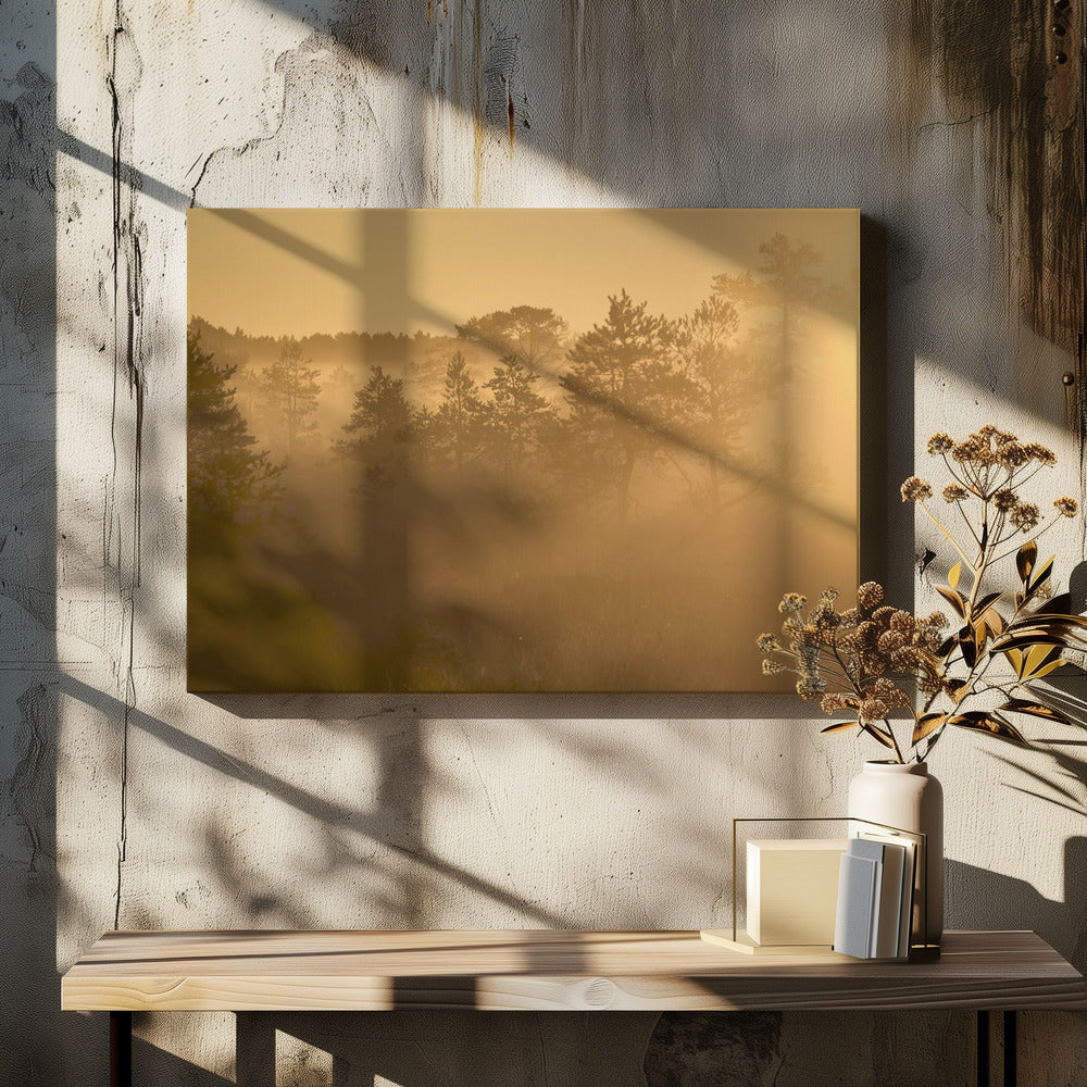 20220809  Dsf8002 1 | Canvas