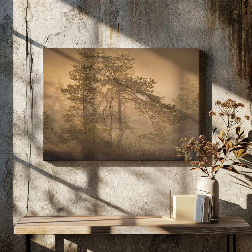 20220809  Dsf8003 1 | Canvas