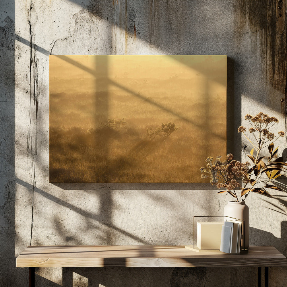 20220809  Dsf8027 1 | Canvas