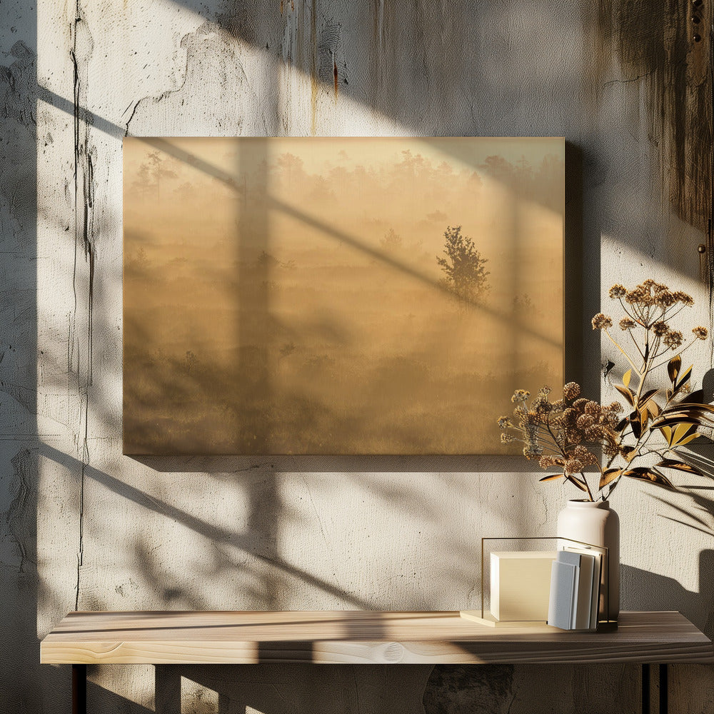 20220809  Dsf8029 2 | Canvas