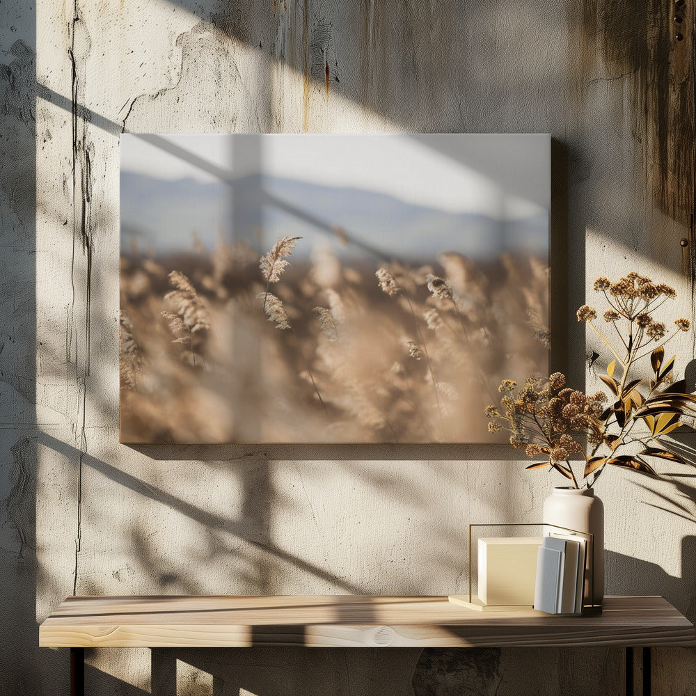 Marsh Grass No.11 | Canvas