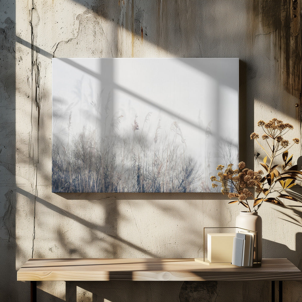 Landscape of reeds and grass | Canvas