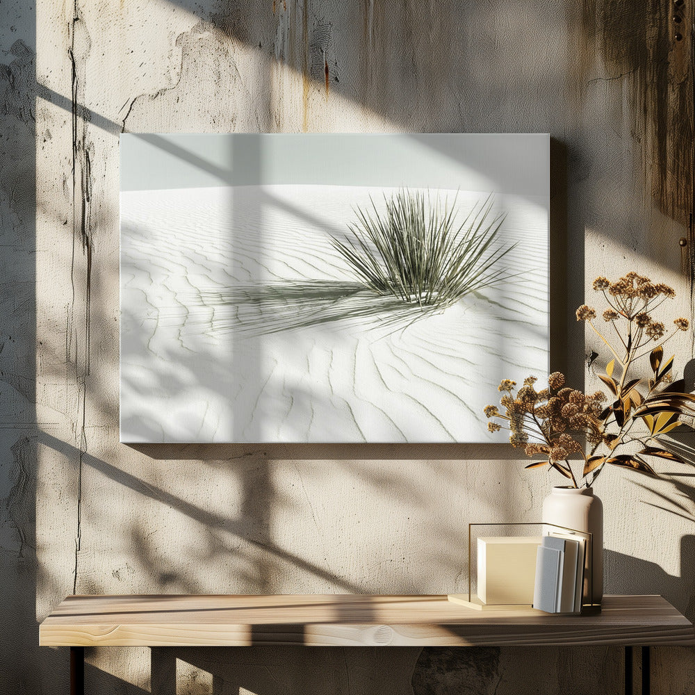 WHITE SANDS Vintage Dune | Canvas