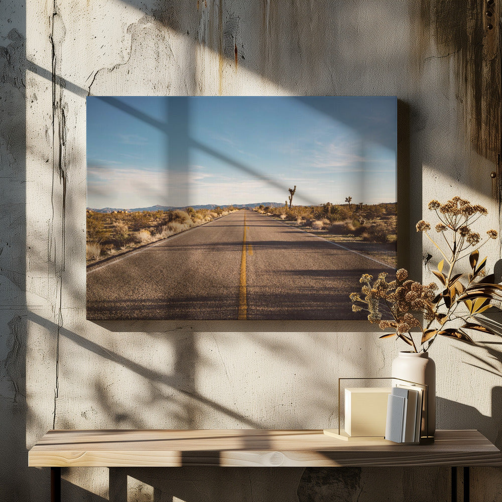 Joshua Tree Road | Canvas