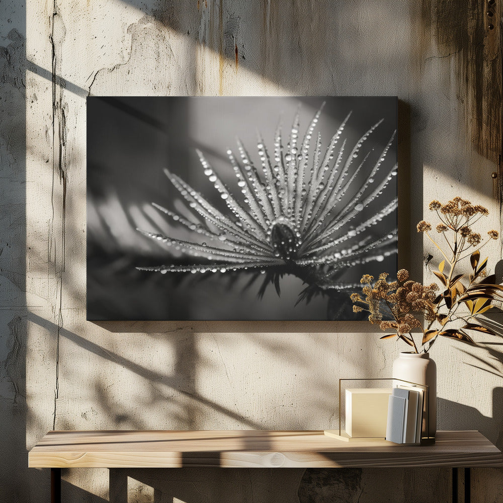 Dewy Elegance | Canvas