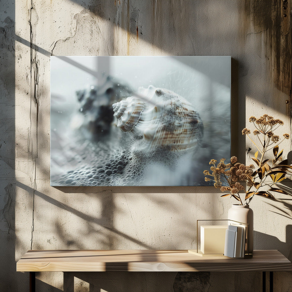 Shells in Ocean Mist | Canvas