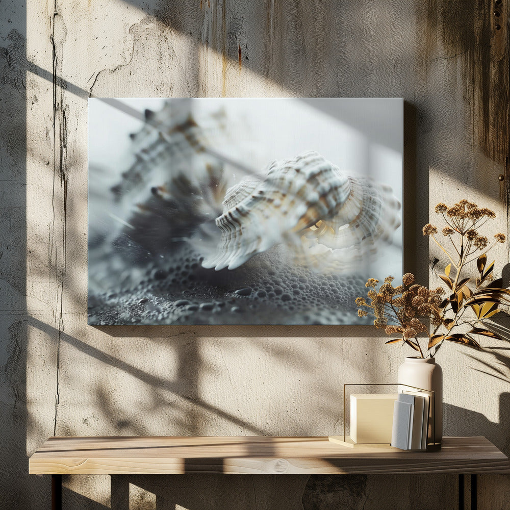 Seashell Serenity | Canvas