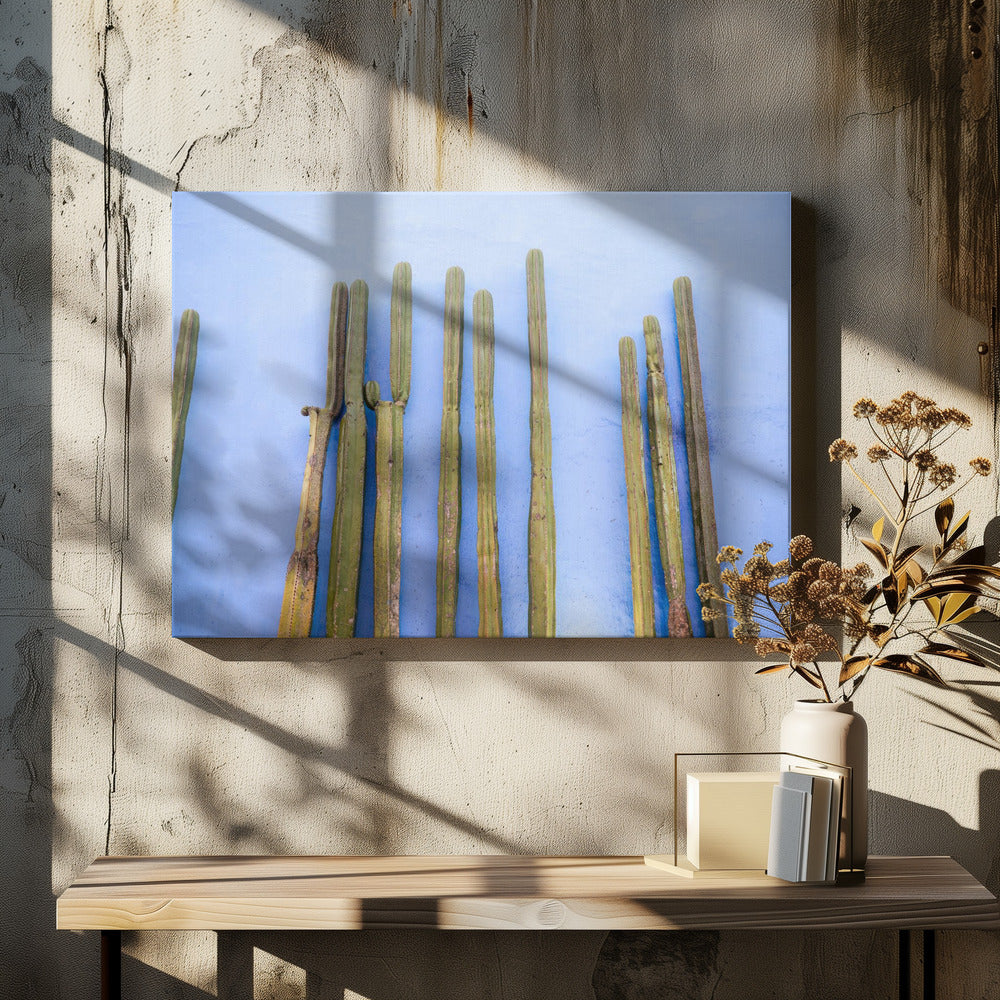 Tall Cacti on Blue | Oaxaca Mexico Travel | Canvas