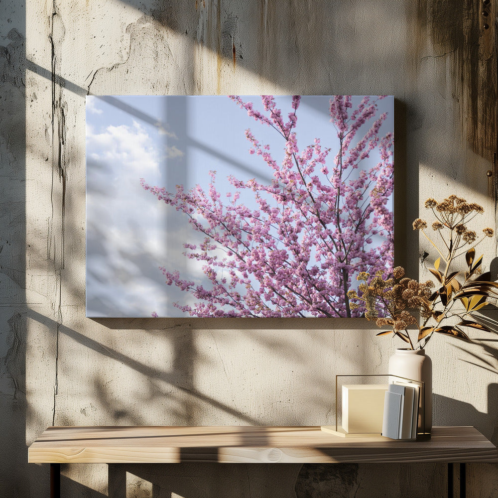 Colorful Spring 12 | Canvas