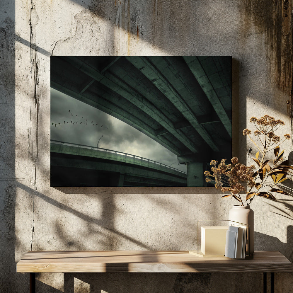 Last Flight | Canvas