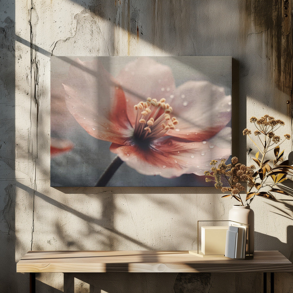 Petals of Serenity | Canvas