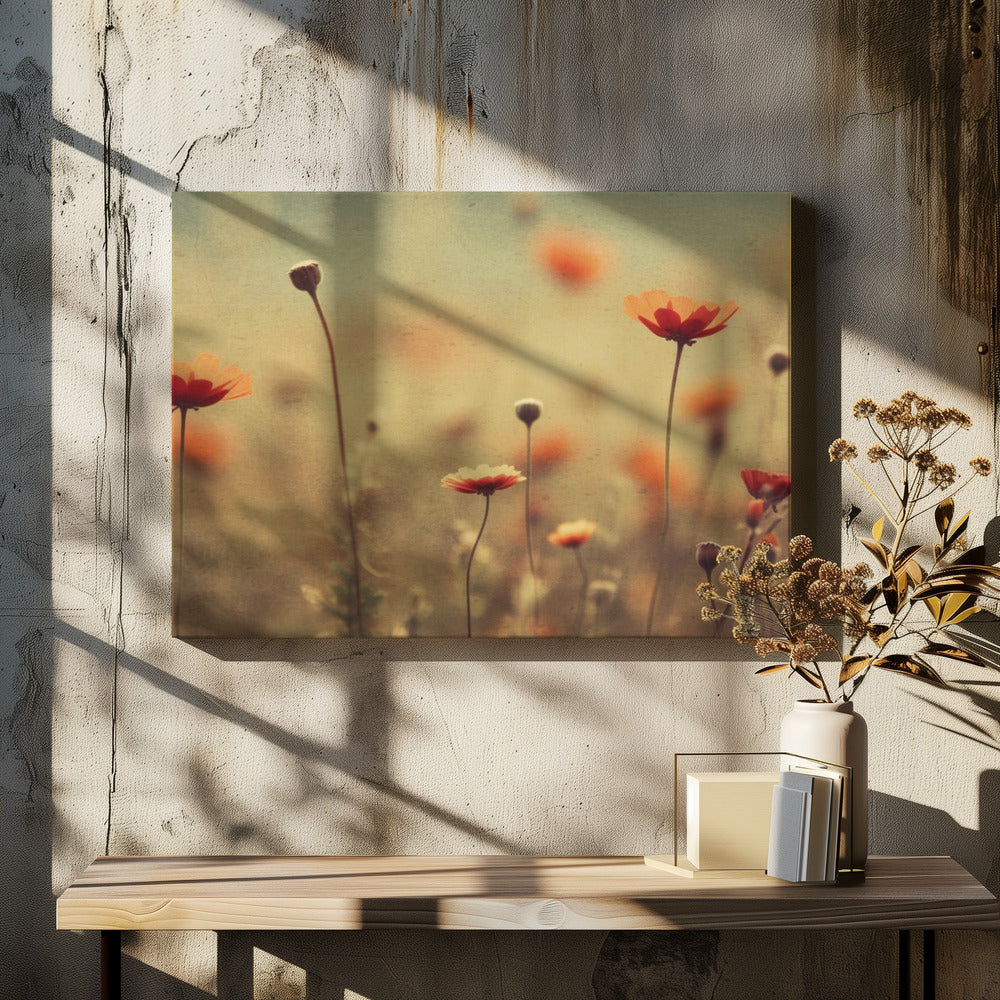 Whispering Poppies | Canvas