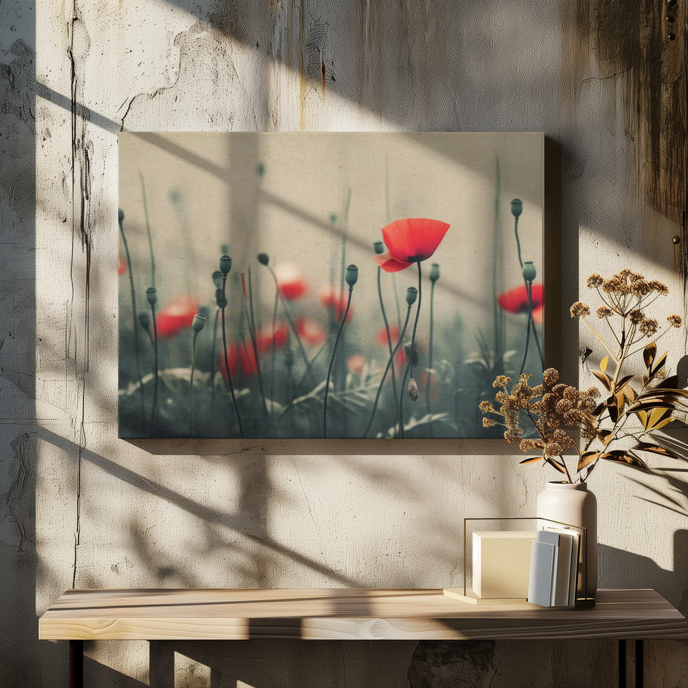 Poppies in the Mist | Canvas
