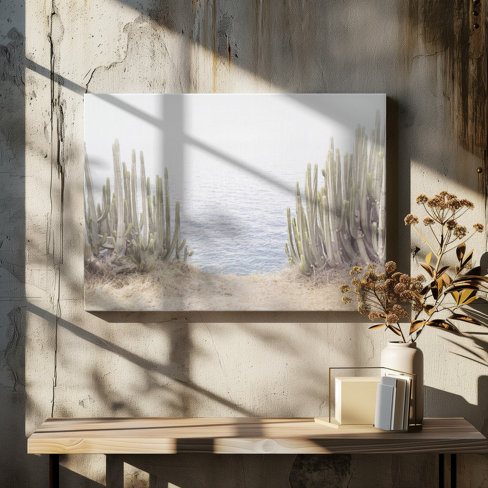 Ocean Cactus | Canvas