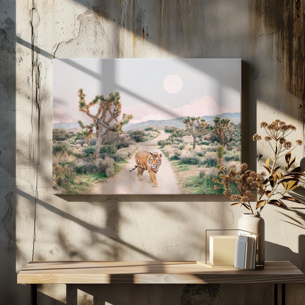 Wandering Tiger | Canvas