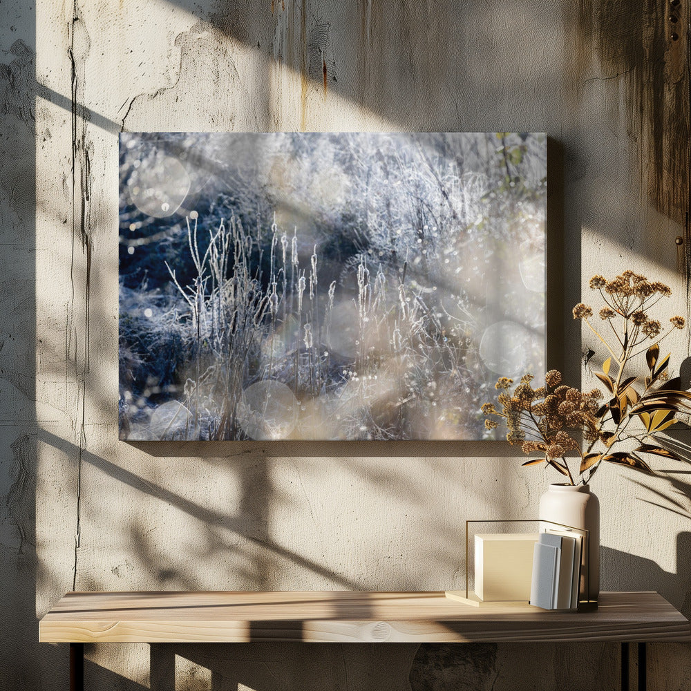 A Winter Morning 3 | Canvas