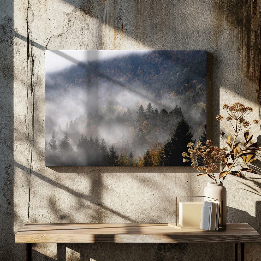 Foggy Woods 9 | Canvas