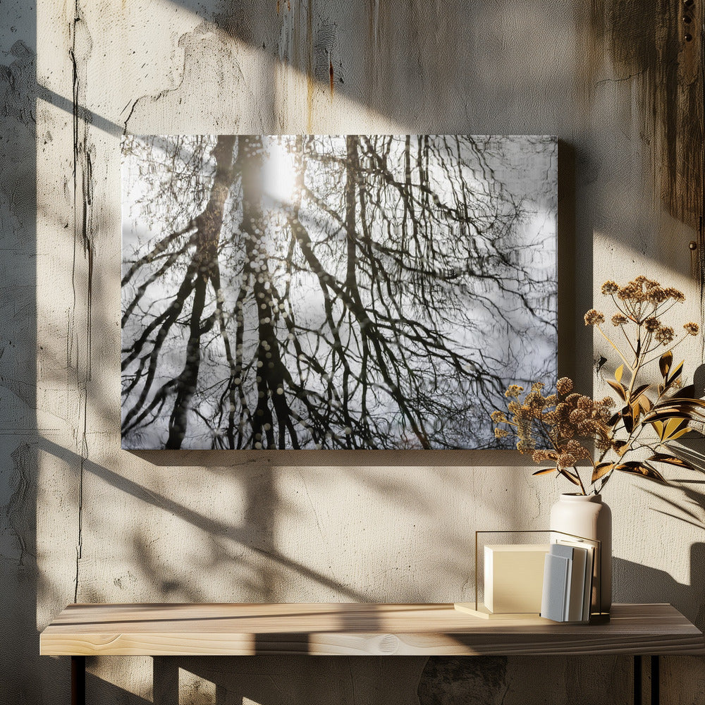 Winter Reflections 3 | Canvas