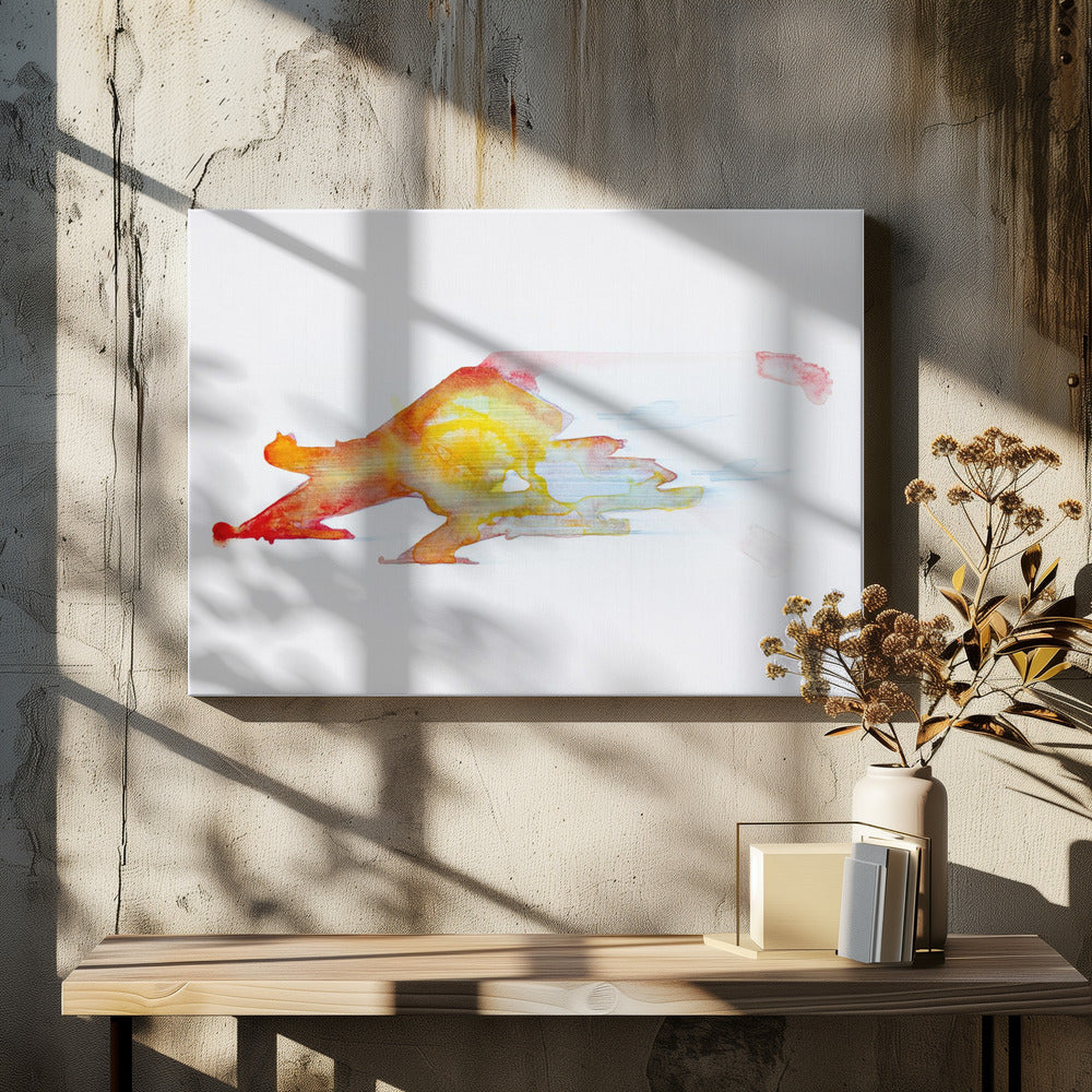 UAP Cmy Ryb | Canvas