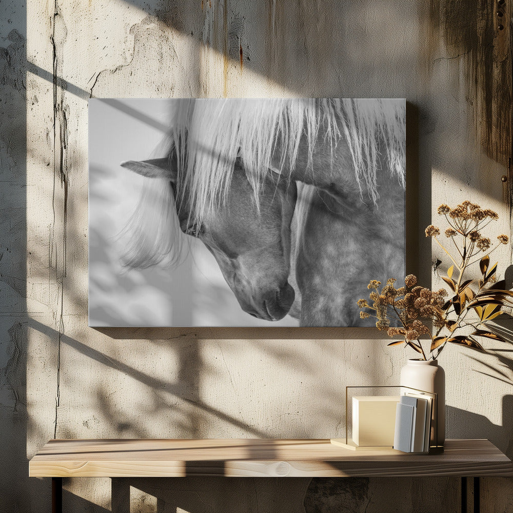 Haflinger Portrait II | Canvas