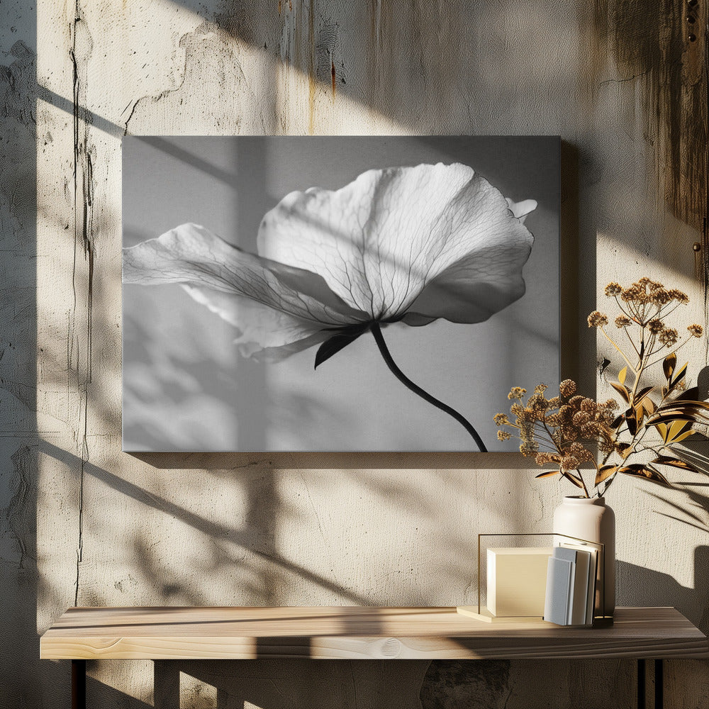 Delicate Petal Dance | Canvas