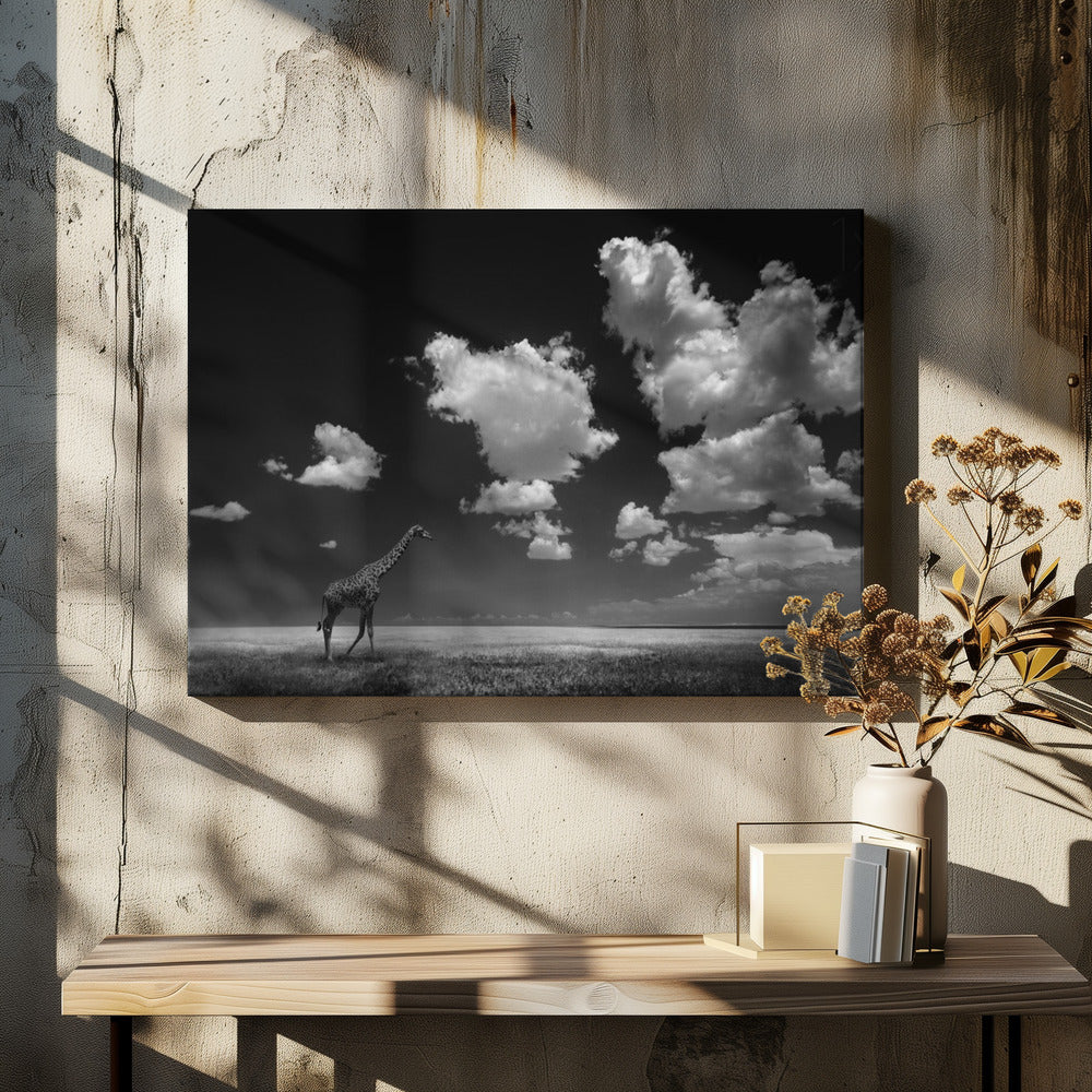Gone with the Clouds | Canvas
