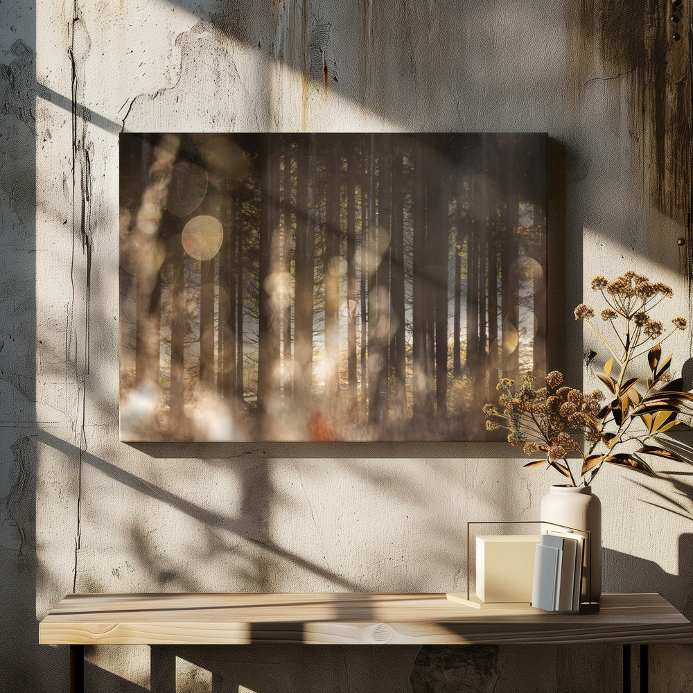 Forest Glow 2 | Canvas