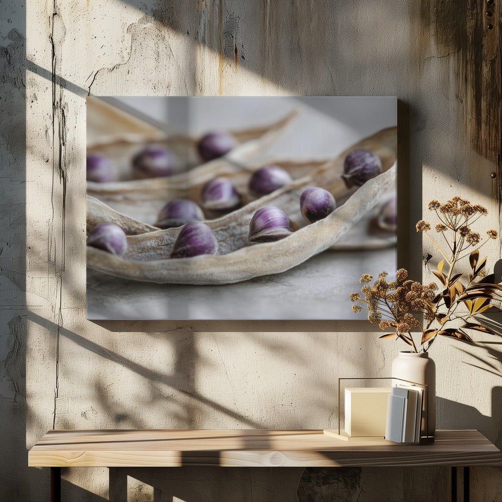 Purple Seed Symphony | Canvas