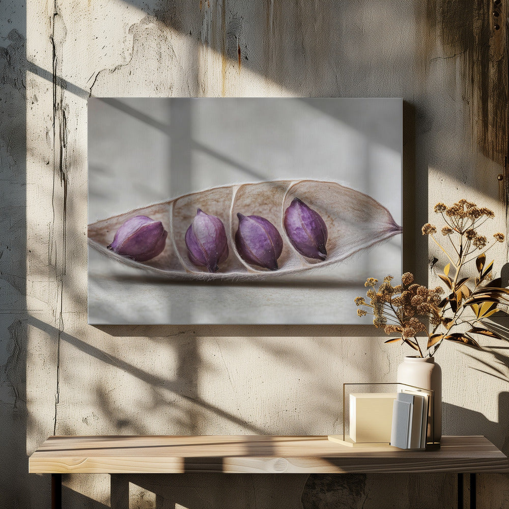 Purple Pod Harmony | Canvas