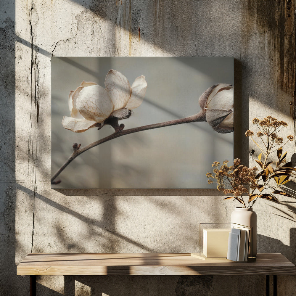 Delicate Petals | Canvas