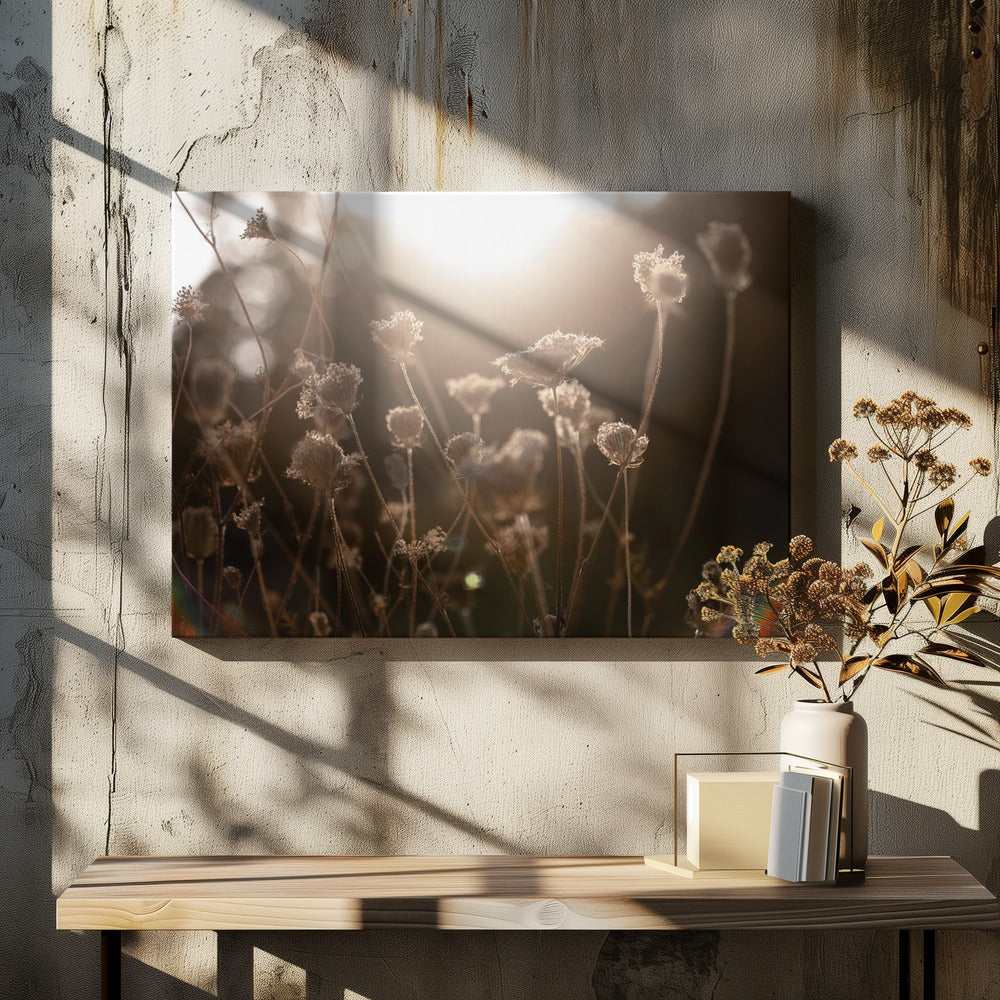 Warm Winter Light 3 | Canvas