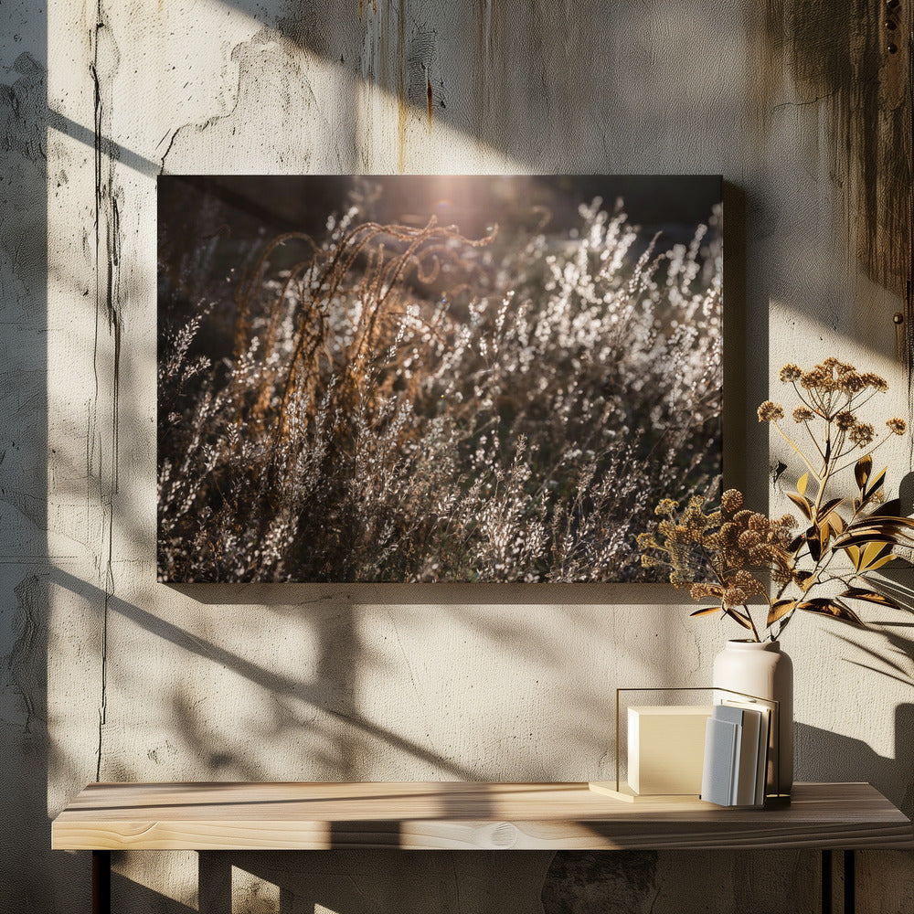 Warm Winter Light 4 | Canvas