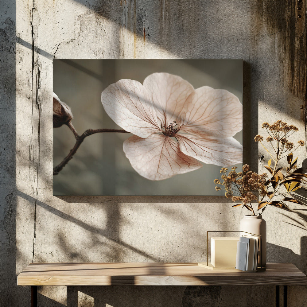 Delicate Bloom | Canvas