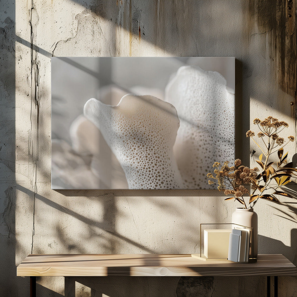 Porcelain Petals | Canvas