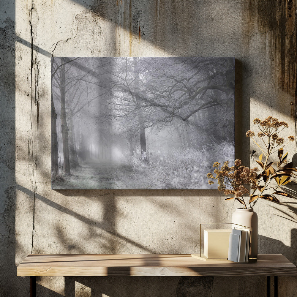Foggy Winter Morning 1 | Canvas