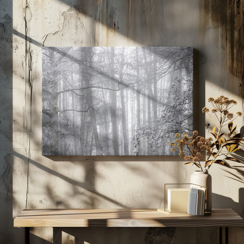 Foggy Winter Morning 2 | Canvas