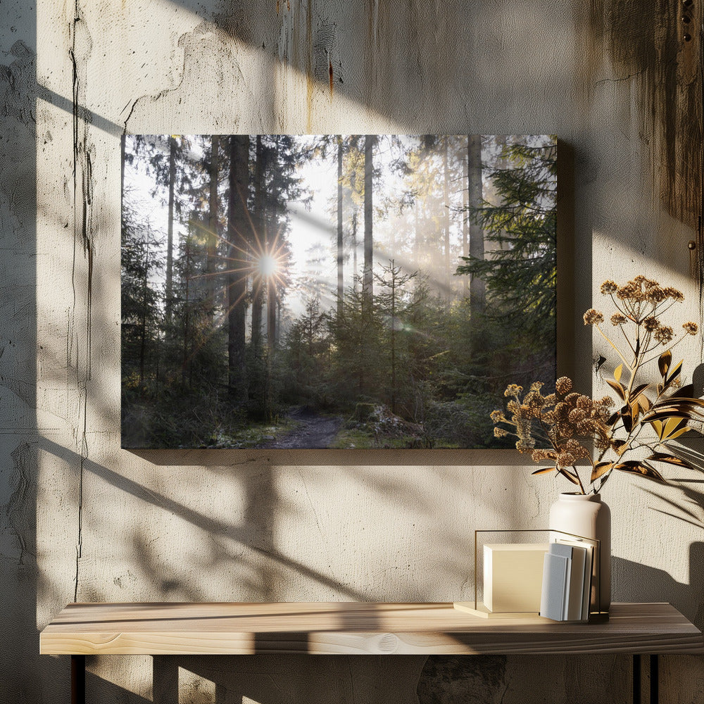 Hopeful Moments 2 | Canvas