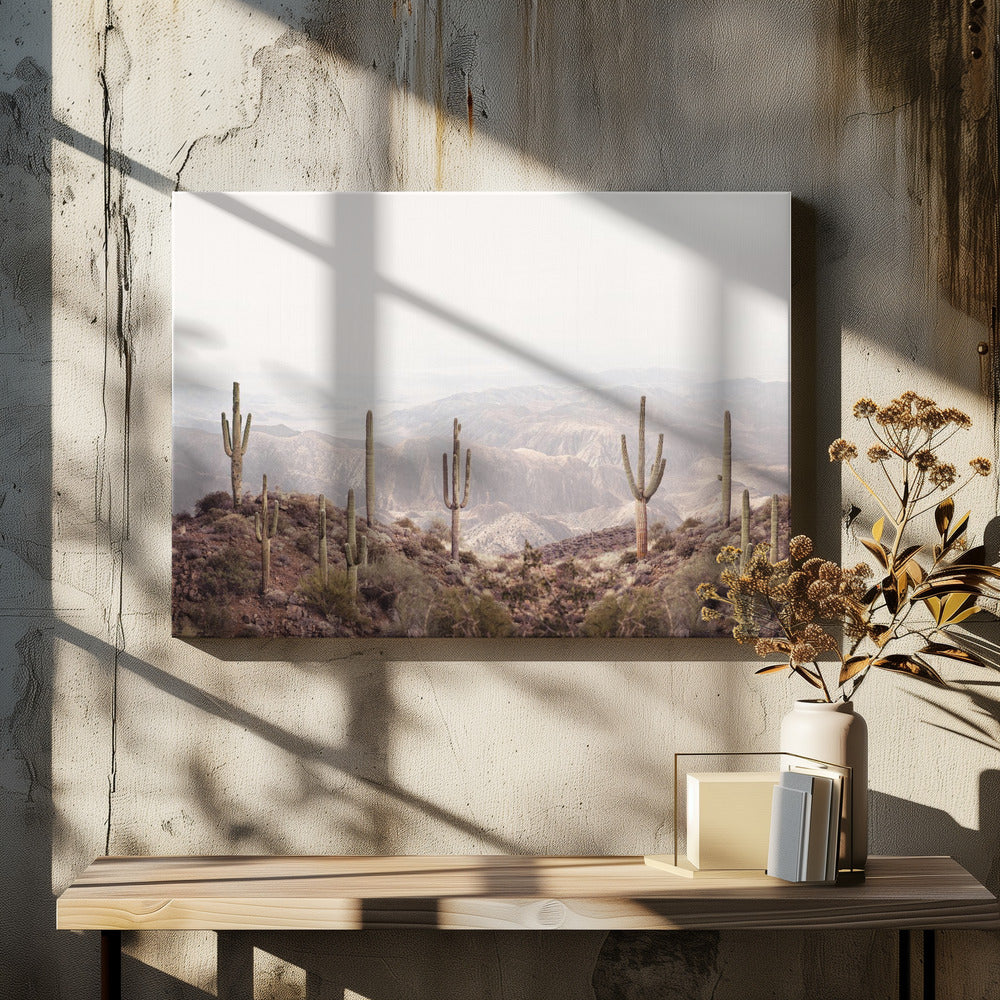 Arizona Valley | Canvas