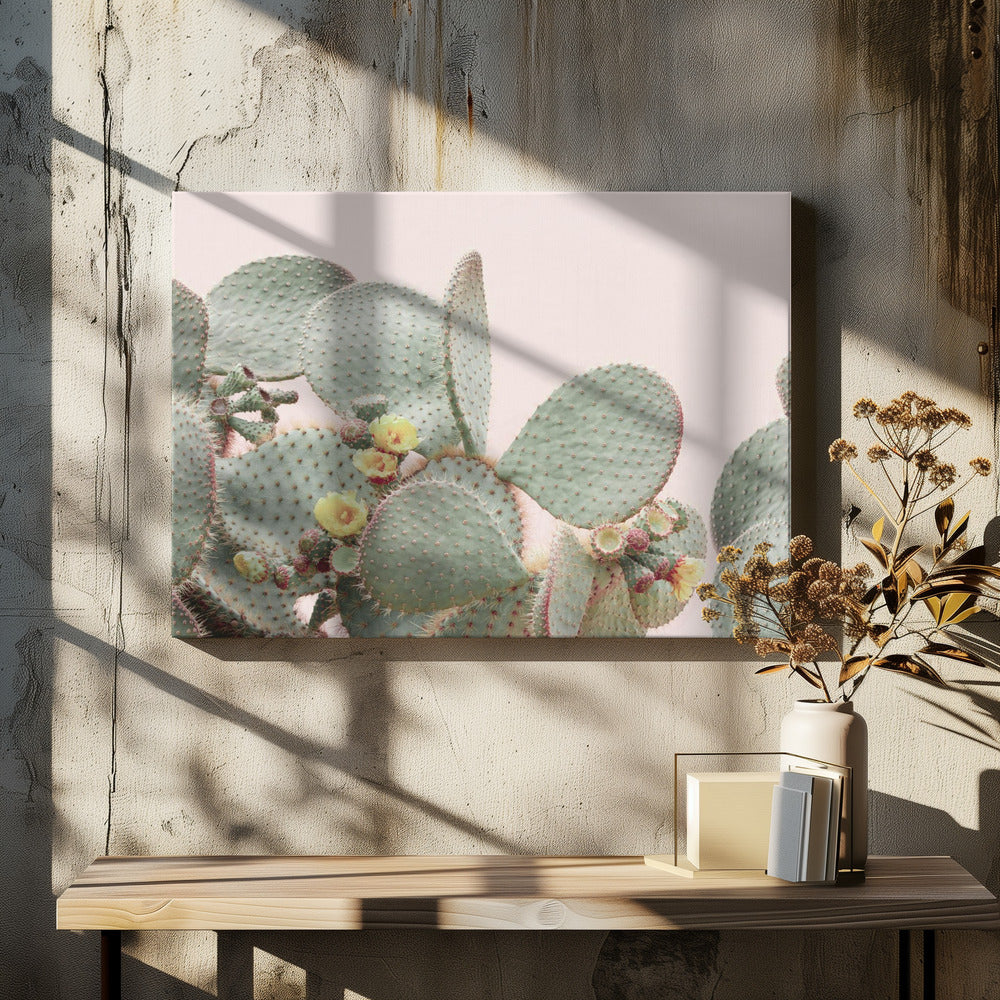 Blooming Cactus | Canvas