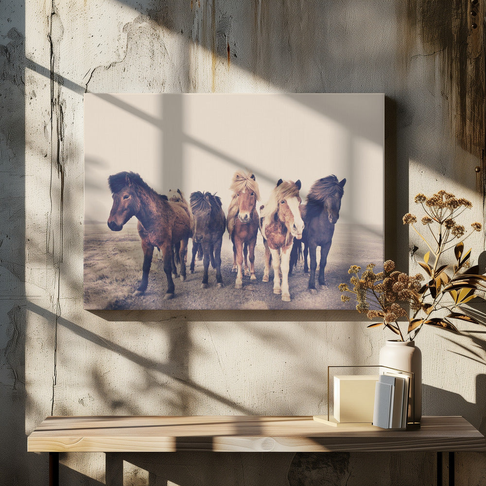 Horses | Canvas