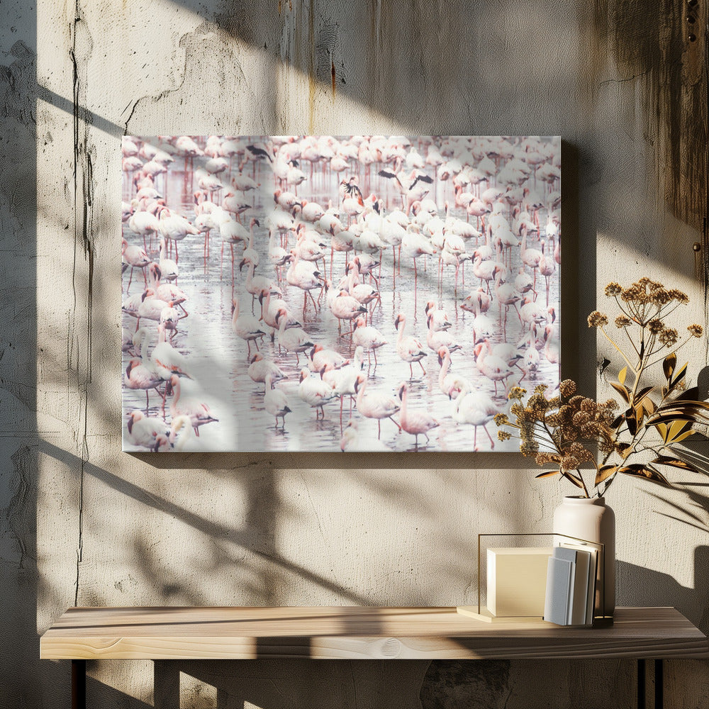 Flamingos | Canvas